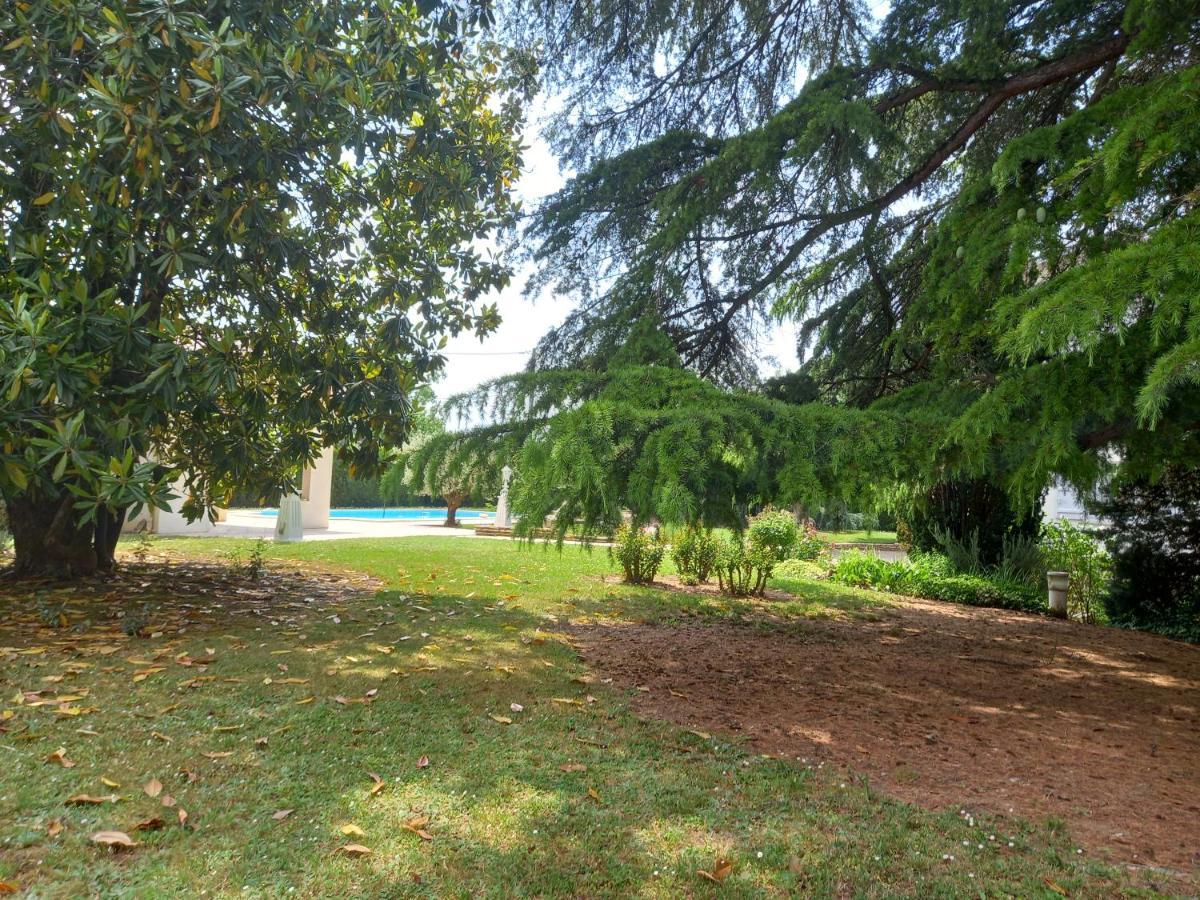 La Maison Basque Sainte-Livrade-sur-Lot Dış mekan fotoğraf